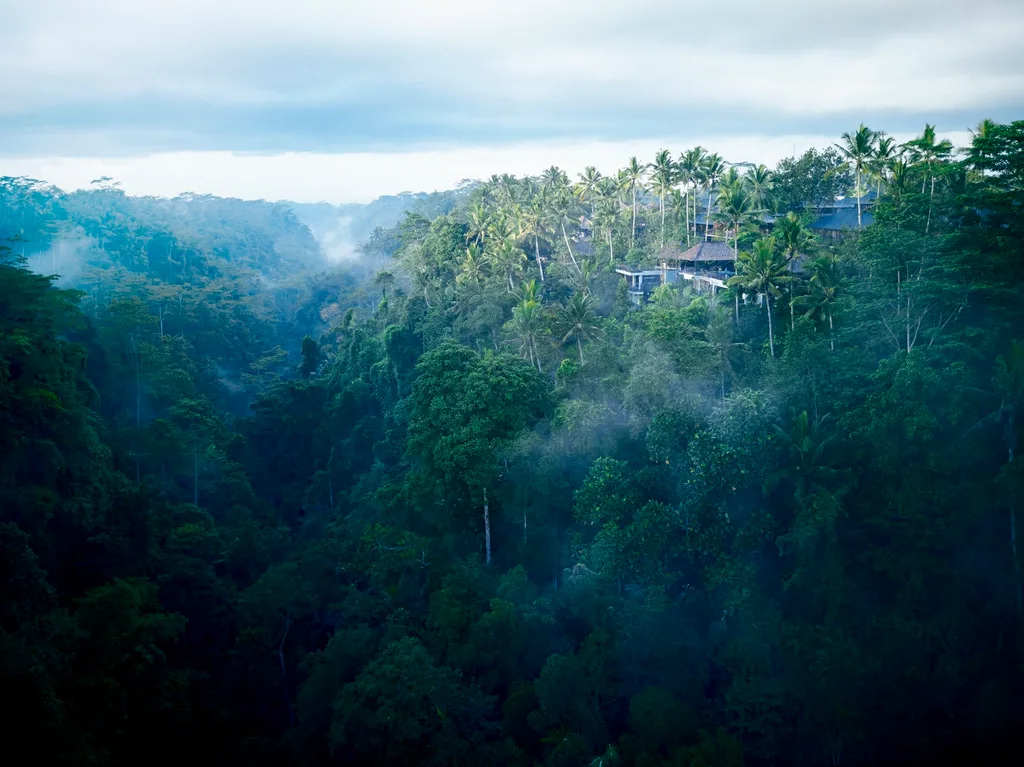 hoshinoya bali