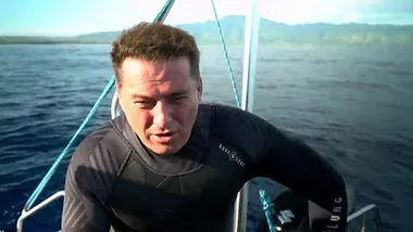 Karl Stefanovic ridiculed over 60 minutes segment on sharks