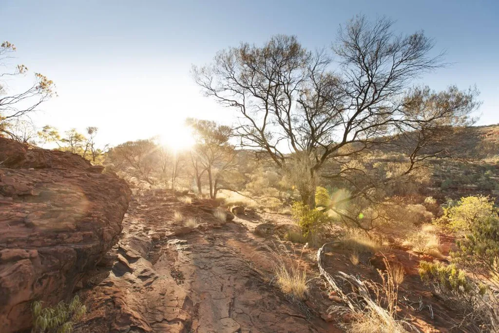 A dry Australian river bed in the outback