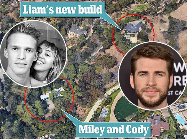 mileyliamhome