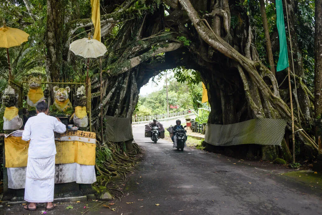 Motorbikes going through a tunnel in Bali
