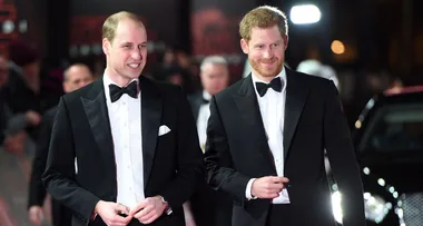 Prince Harry makes heartbreaking confession about Prince William