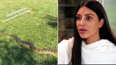 Kris Jenner encounters HUGE snake in Kim Kardashian’s backyard