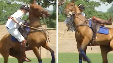 Prince Harry falls off his horse playing polo