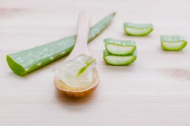 Aloe Vera – The World’s Best Kept Beauty Secret?