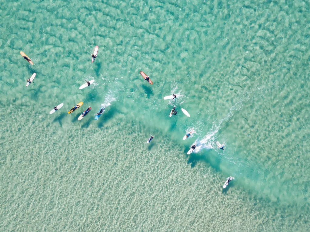 Surfers at the beach