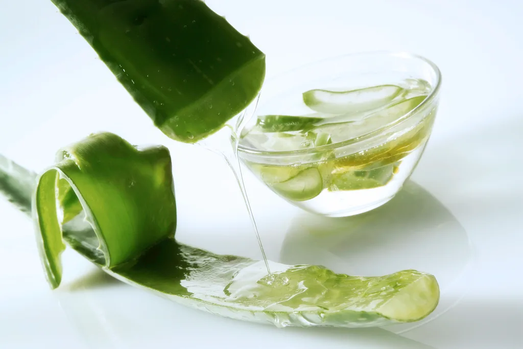 aloe vera juice