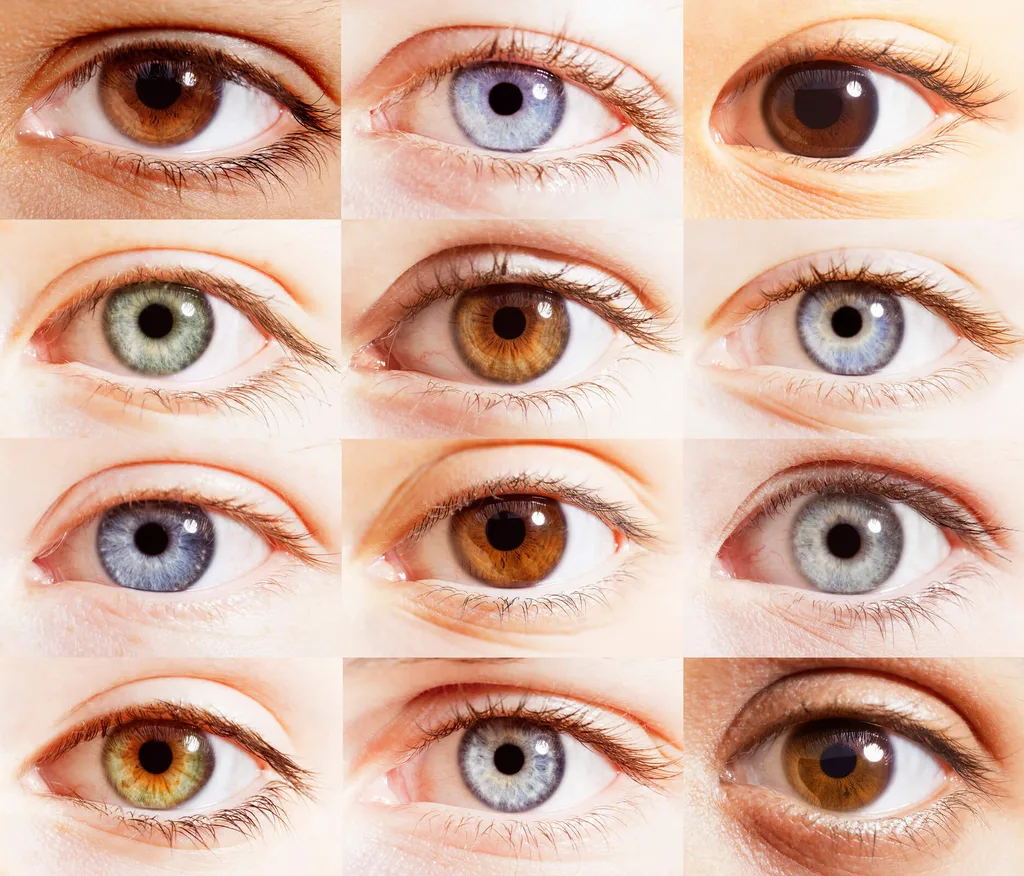 A montage of different eye colours