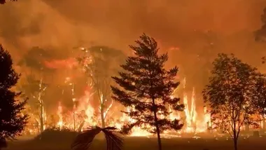 Horrifying footage of raging bushfire at Mt Tomah