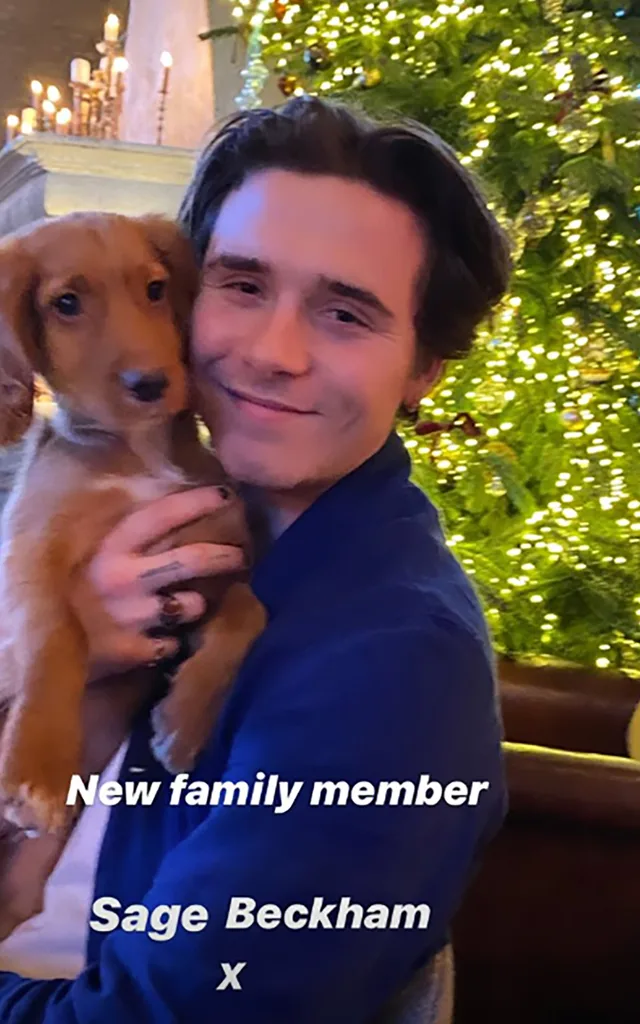 Brooklyn Beckham and puppy Sage