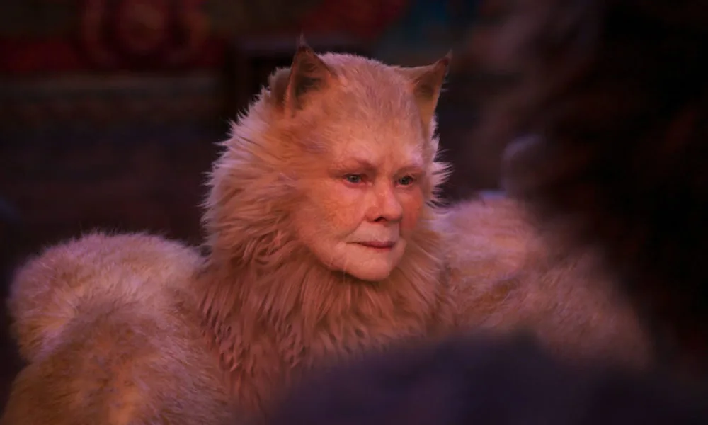 Cats