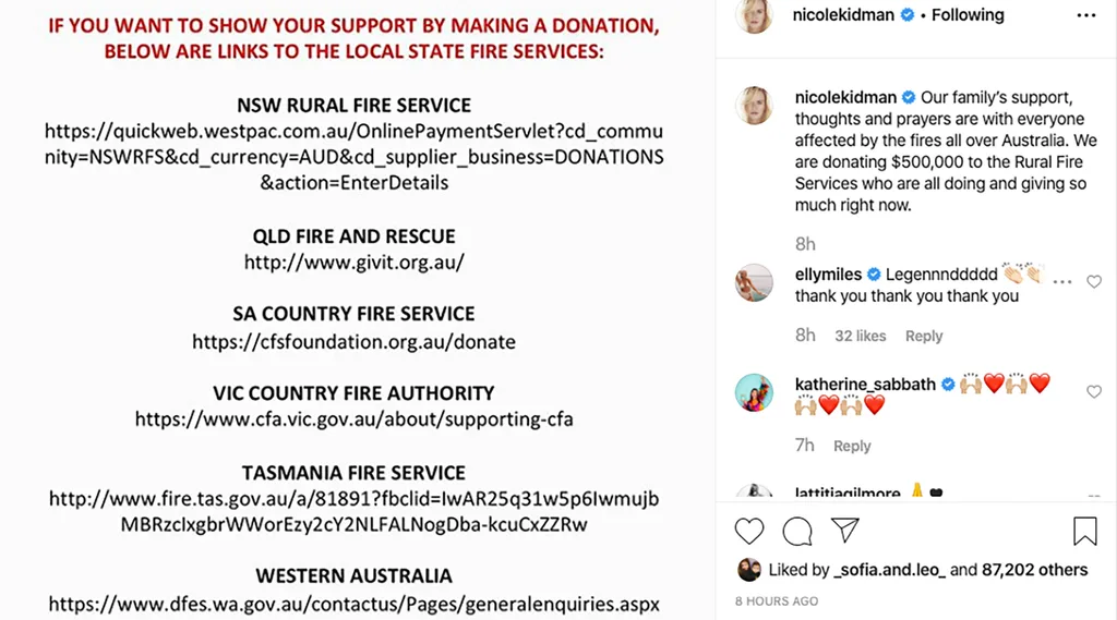Nicole Kidman fire donation
