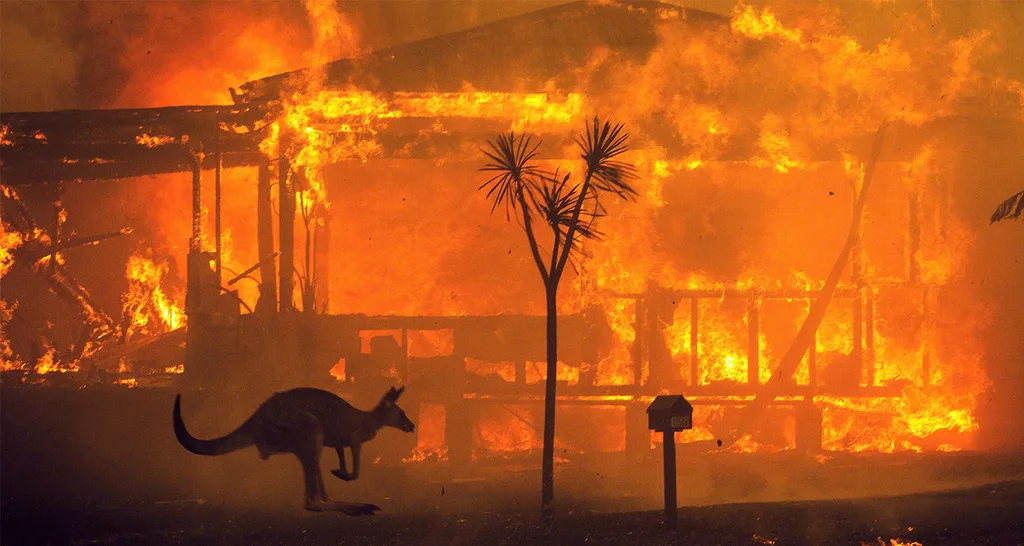 bushfire