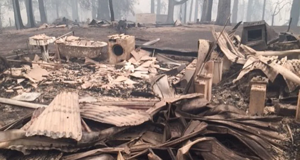 bushfirewreckage