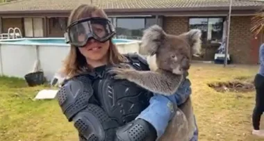 Scottish journo attacked by ‘deadly’ DROP BEAR in hilarious prank