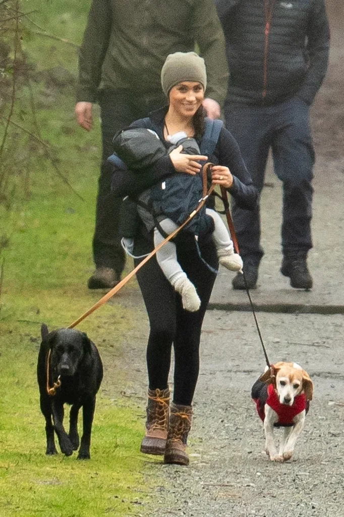 meghanharry