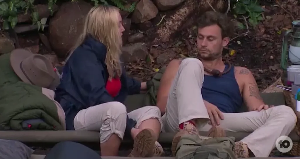 The jungle lovebirds