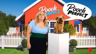 Pooch Perfect: Meet Russell, Rebel’s Co-Host