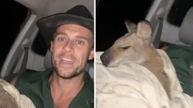 I’m A Celeb! star Ryan Gallagher rescues injured kangaroo