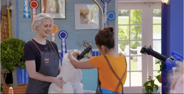 Davina and Natasha decided to use a star as their shape inspiration and trim the head hair on their dog, a bichon called Milly, into a star shape.