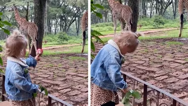 Hayley Hubbard’s daughter sad when giraffes don’t take her flower