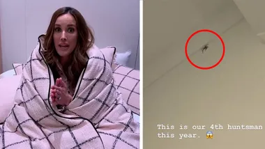 Bec Judd finds a giant huntsman in her garage