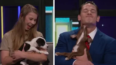 Bindi Irwin surprises John Cena with puppies