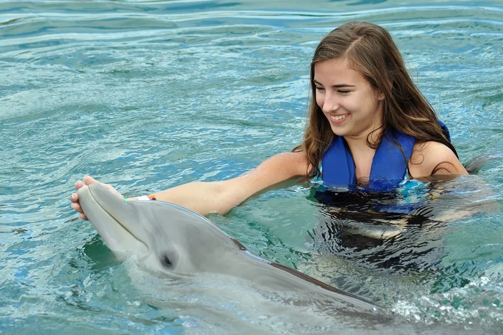 Swimming with dolphins