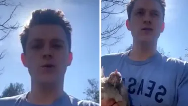 Tom Holland bought a chicken to supply him eggs during quarantine