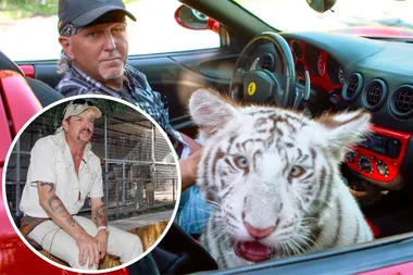 Tiger King star makes SHOCKING new claims about Joe Exotic