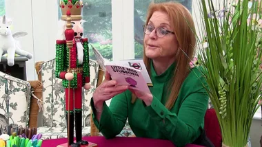 Sarah Ferguson baffles fans with Christmas decor in recent video