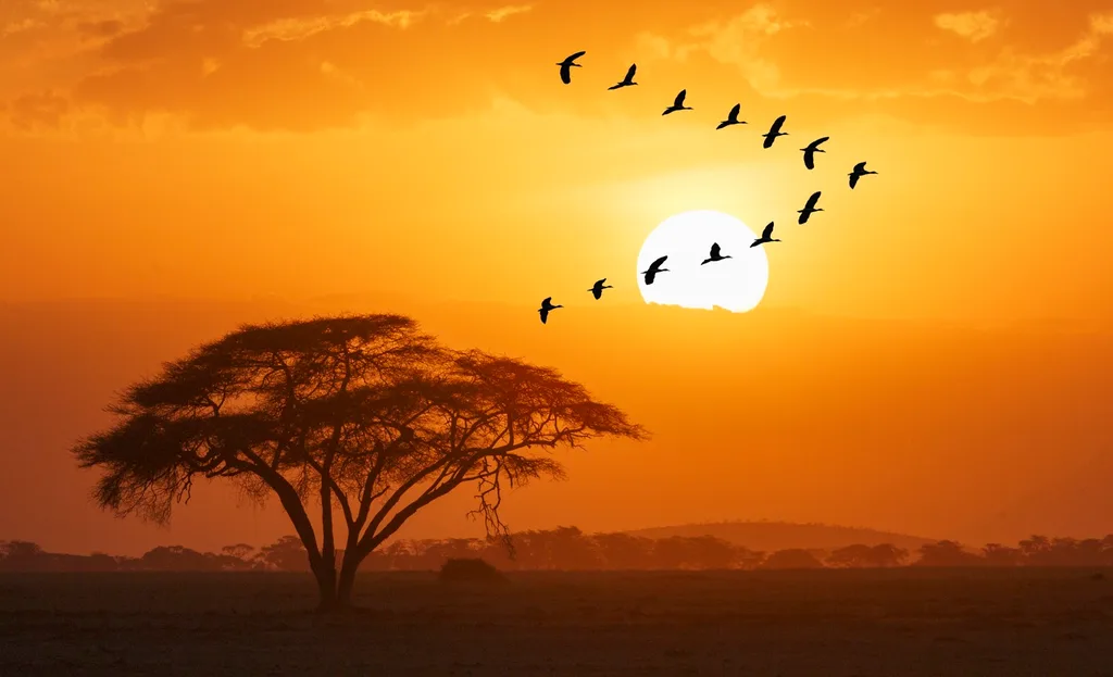 Kenya