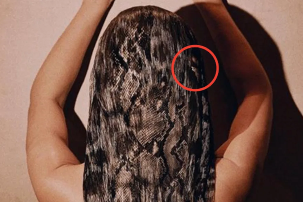 Can you spot it?