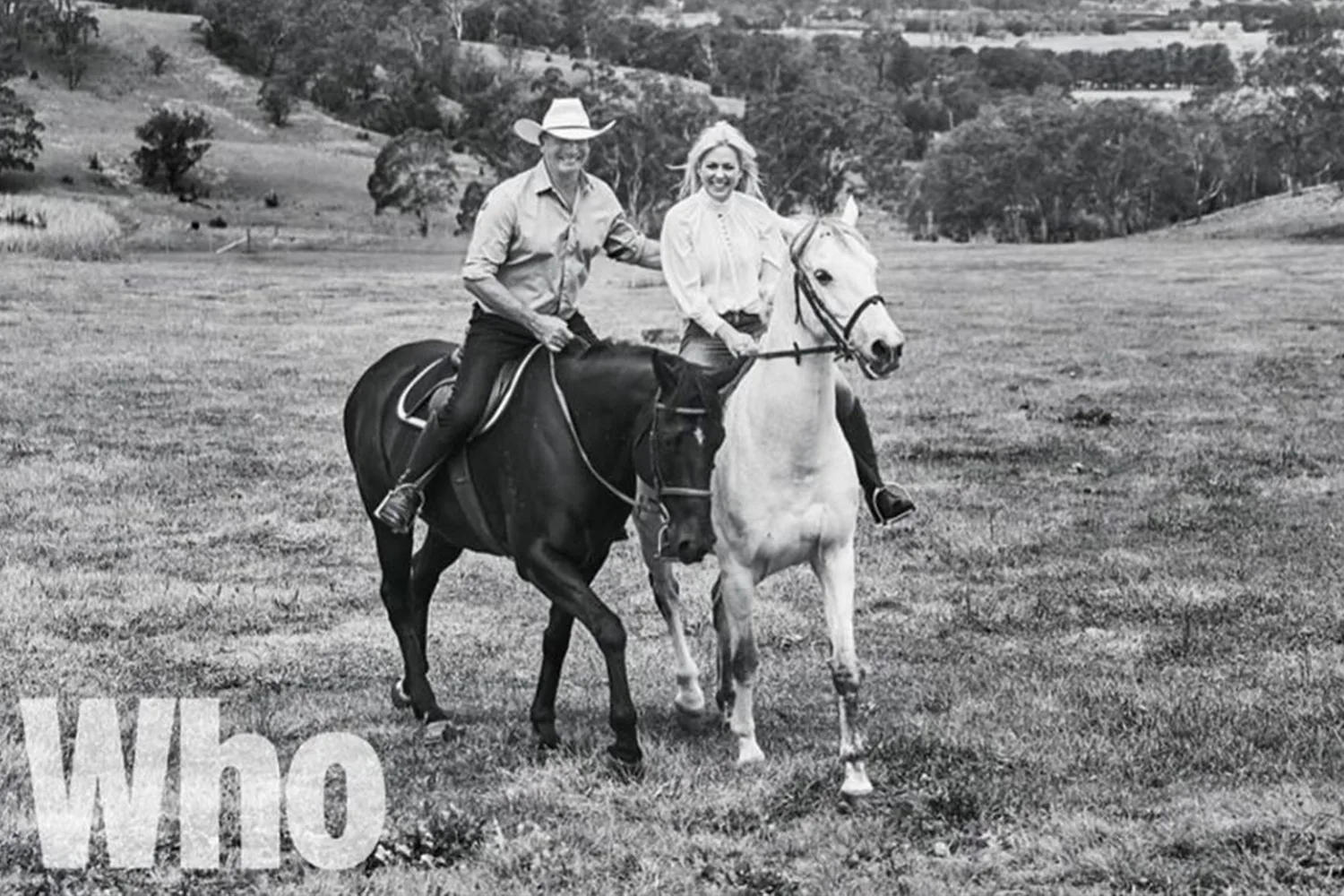 Horses
