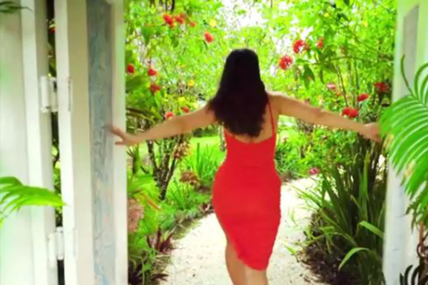 Bachelor in Paradise