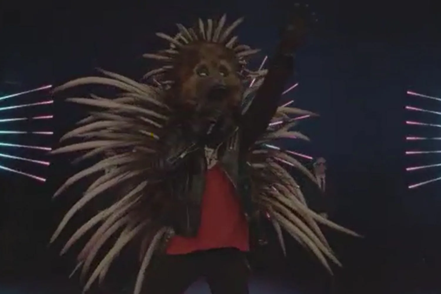 Masked Singer echidna