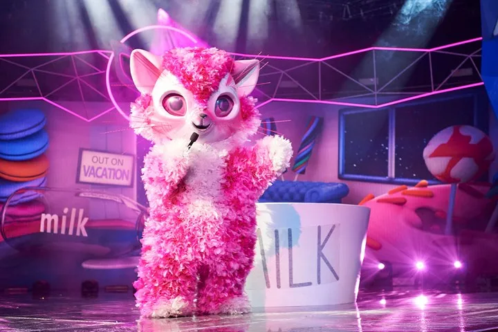 Masked Singer kitten
