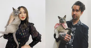 Melissa Leong Joe Jones cats