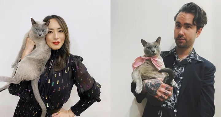 Melissa Leong Joe Jones cats