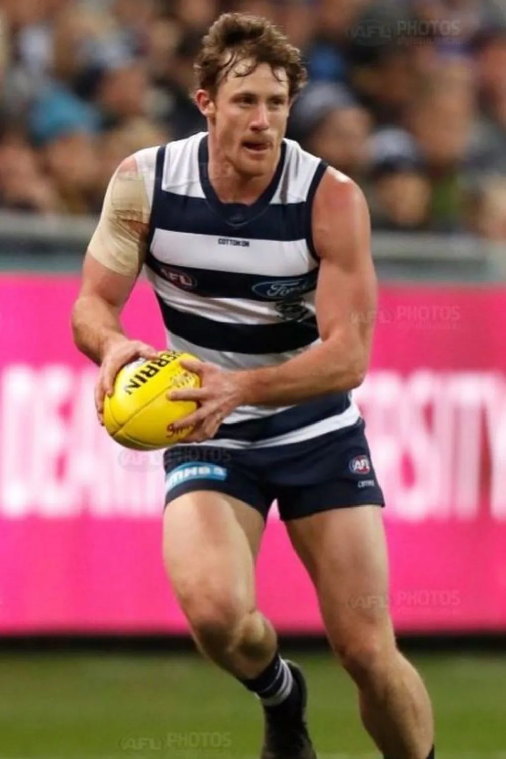 jed bews afl