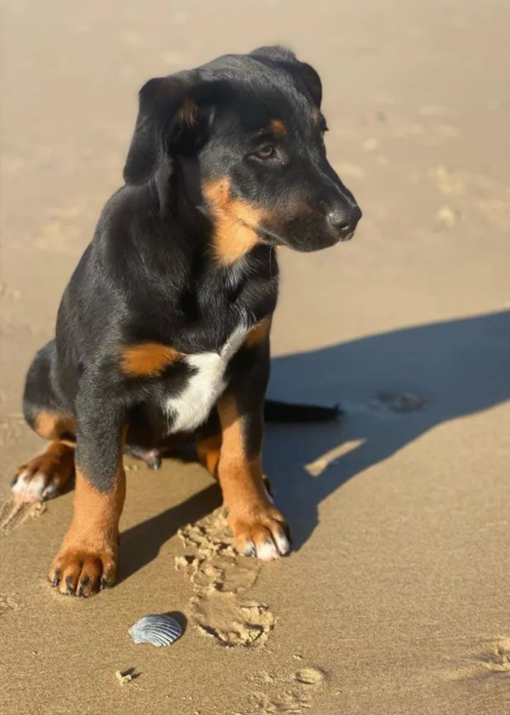 doug