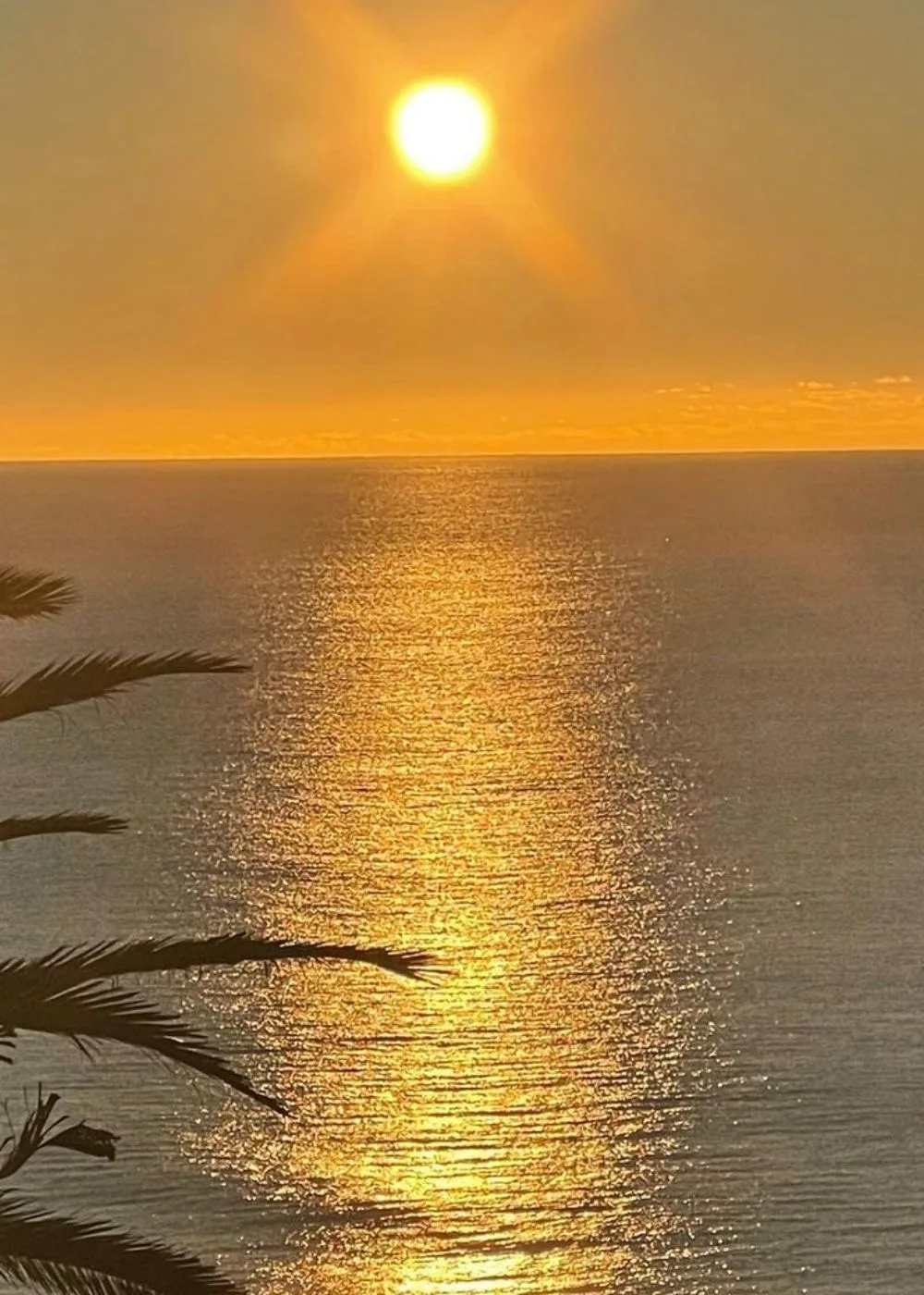 lara-worthington-sun-palm-beach
