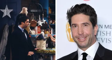 Friends animal trainer hits back at David Schwimmer