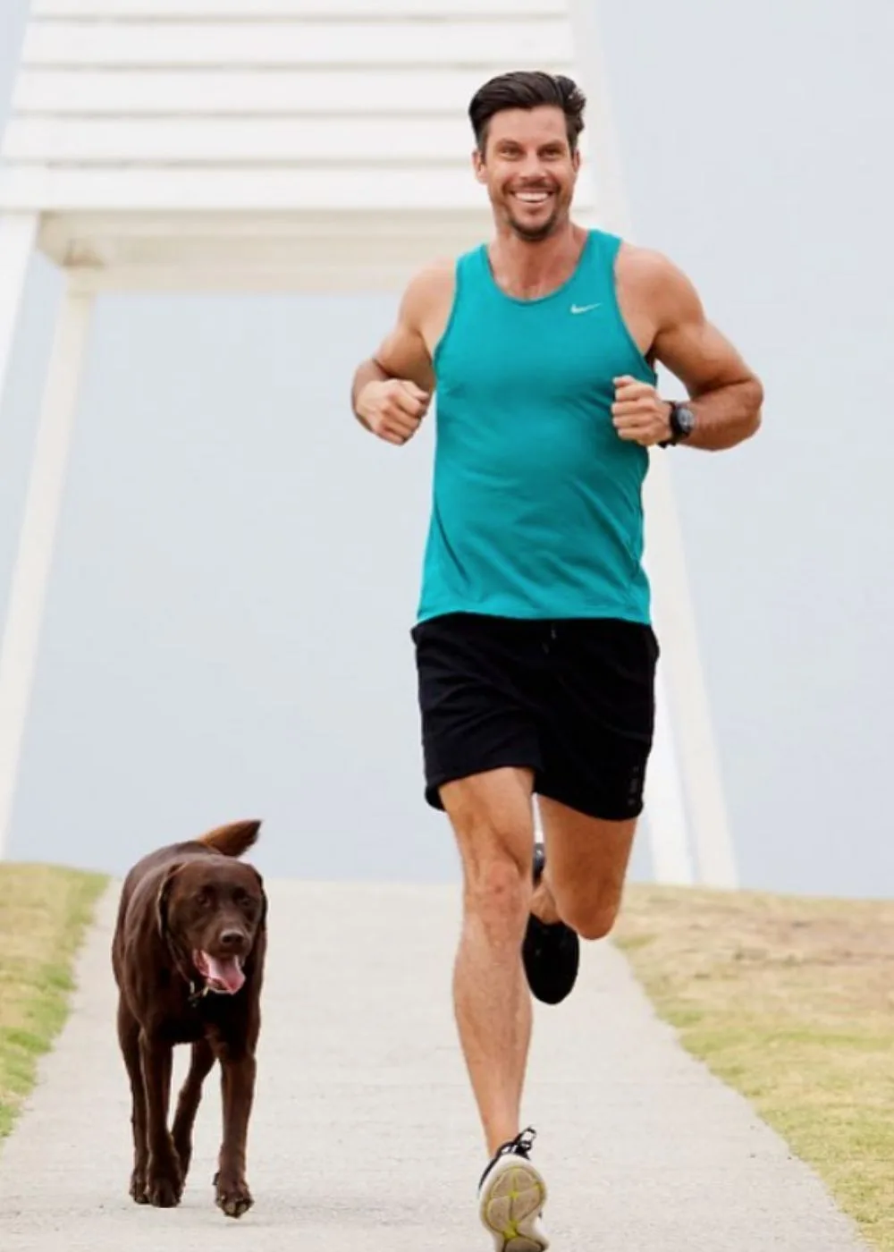 sam-wood-dog-running