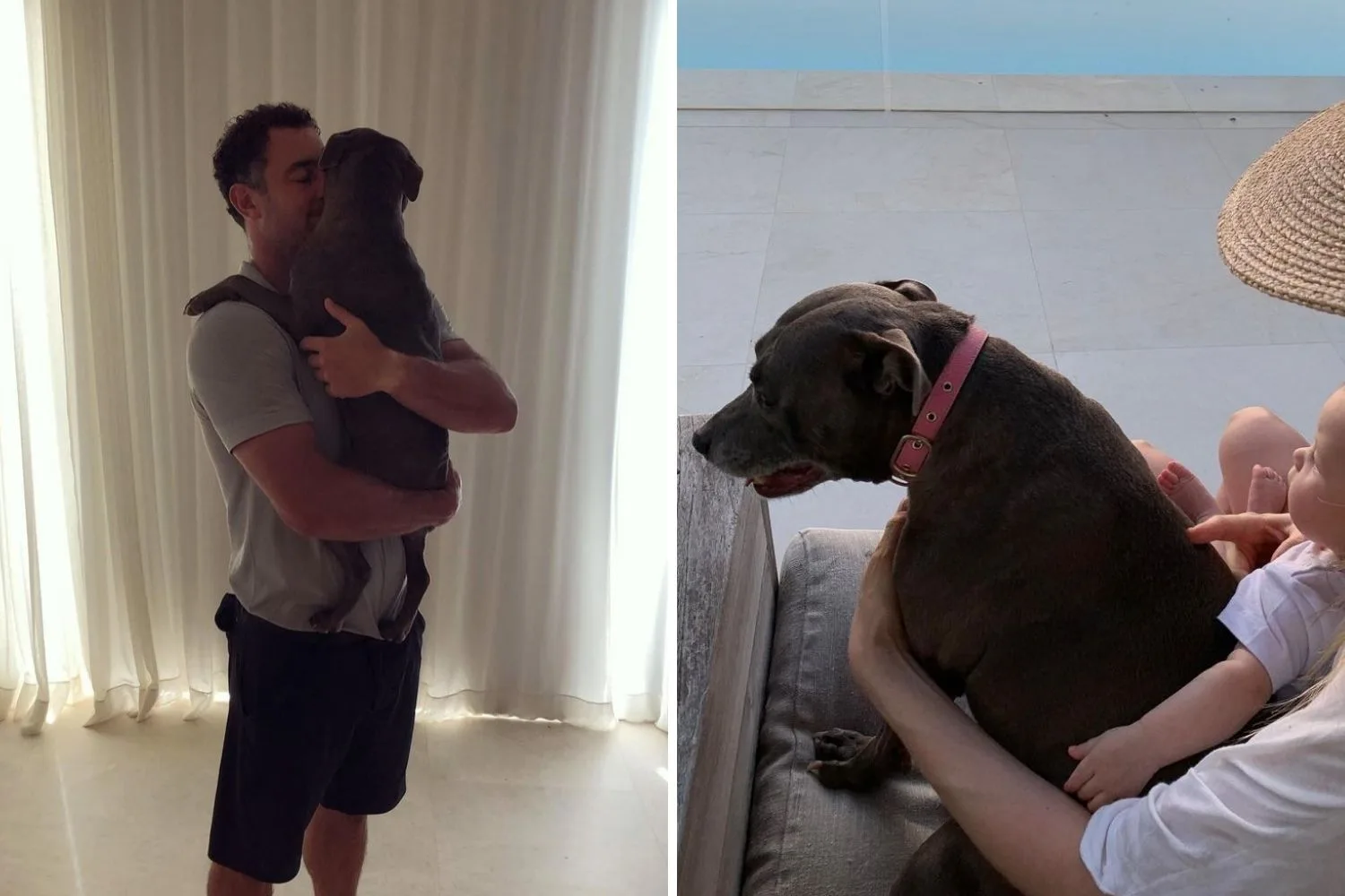 jen-hawkins-jake-wall-dog