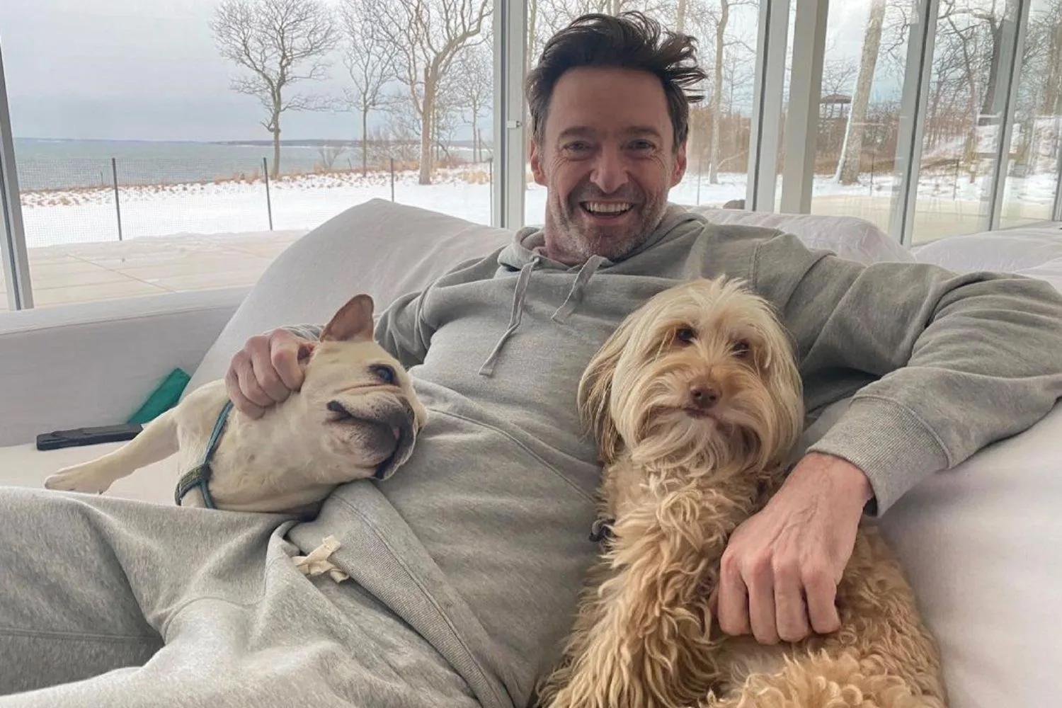 hugh-jackman-dogs