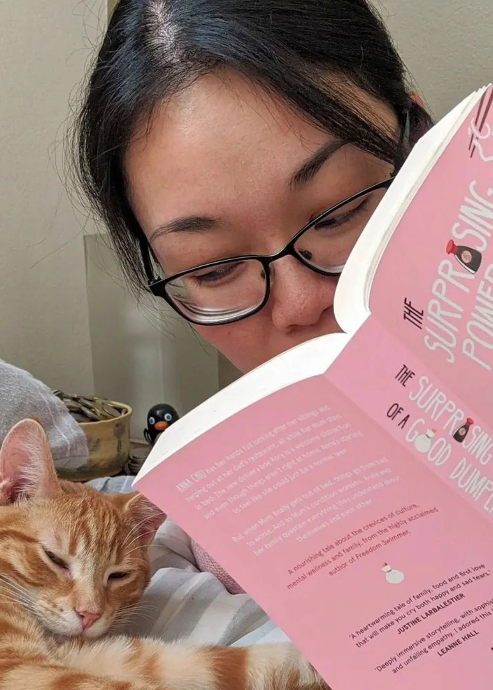 wai-chim-book-cat