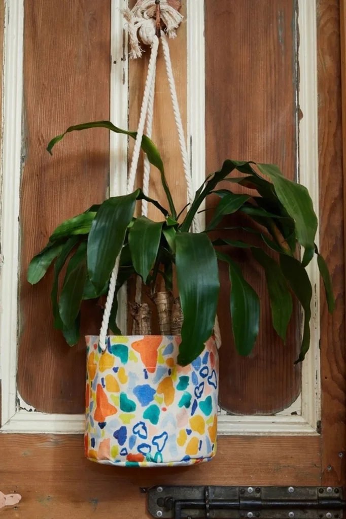 gorman colourful planter