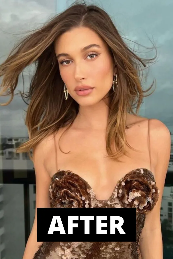 hailey bieber brown hair