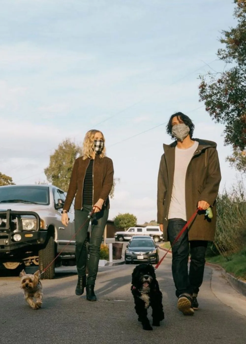 bob-morley-eliza-taylor-dogs-walking